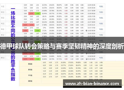 德甲球队转会策略与赛季坚韧精神的深度剖析